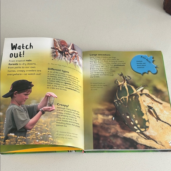 Wild Animals Book with Colorful Cover - Picture 4 of 5